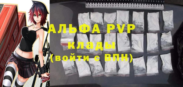 стаф Новокубанск
