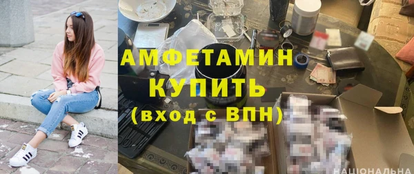 стаф Новокубанск