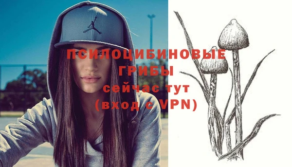 spice Няндома