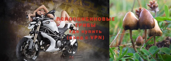 марихуана Новозыбков